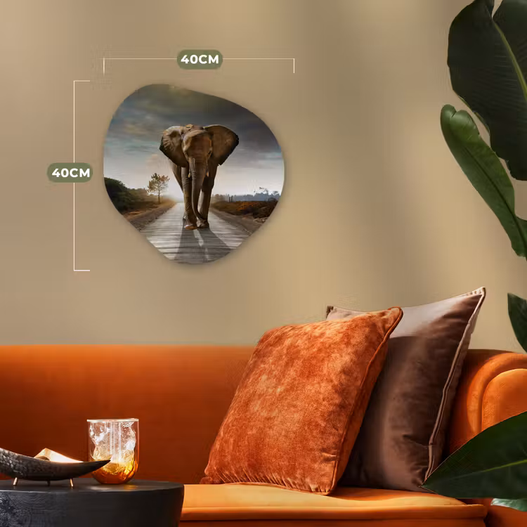 Olifant - Weg - Dieren - Zonsondergang - Landschap Wandcirkel Organisch Forex 3mm klein -sfeer3