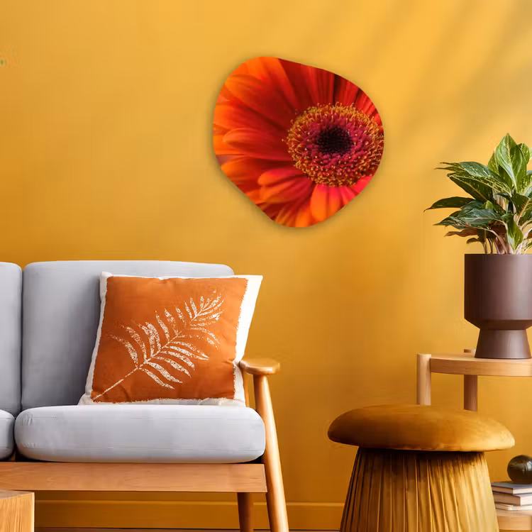 Oranje - Gerbera - Intens Wandcirkel Organisch Forex 3mm klein -sfeer4