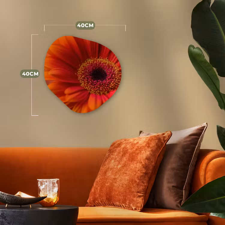 Oranje - Gerbera - Intens Wandcirkel Organisch Forex 3mm klein -sfeer3