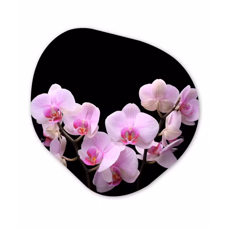 Orchidee - Bloemen - Roze - Flora Wandcirkel Organisch Forex 3mm klein -3d