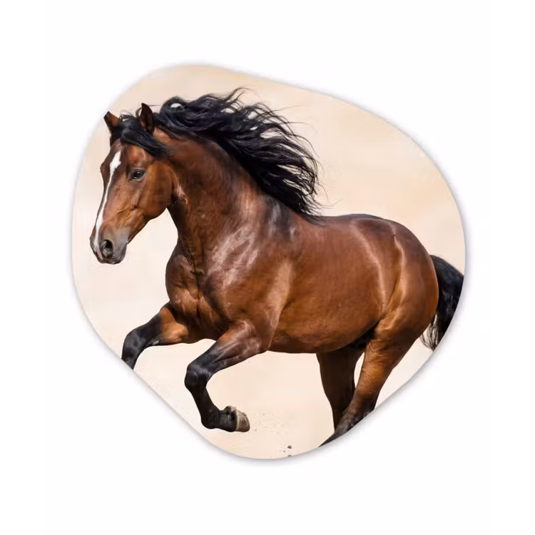 Paard - Galop - Energie Wandcirkel Organisch Forex 3mm klein -3d