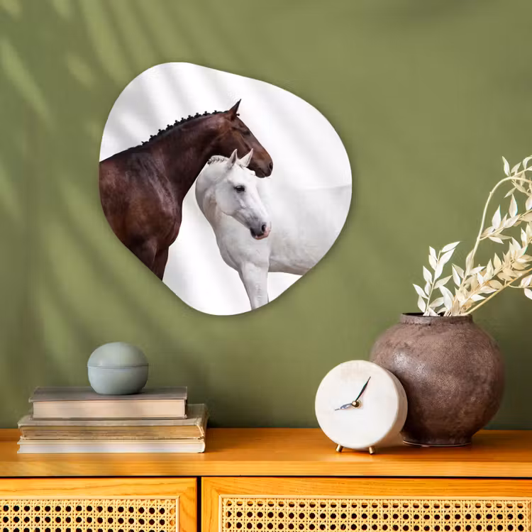 Paard - Modern - Balans Wandcirkel Organisch Forex 3mm klein -sfeer2