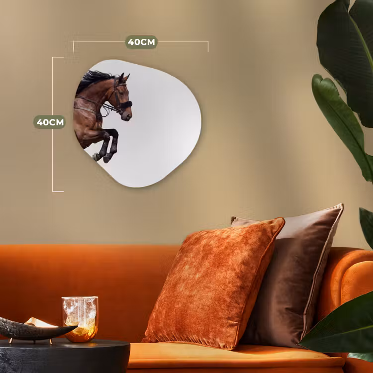 Paard - Springen - Modern Wandcirkel Organisch Forex 3mm klein -sfeer3
