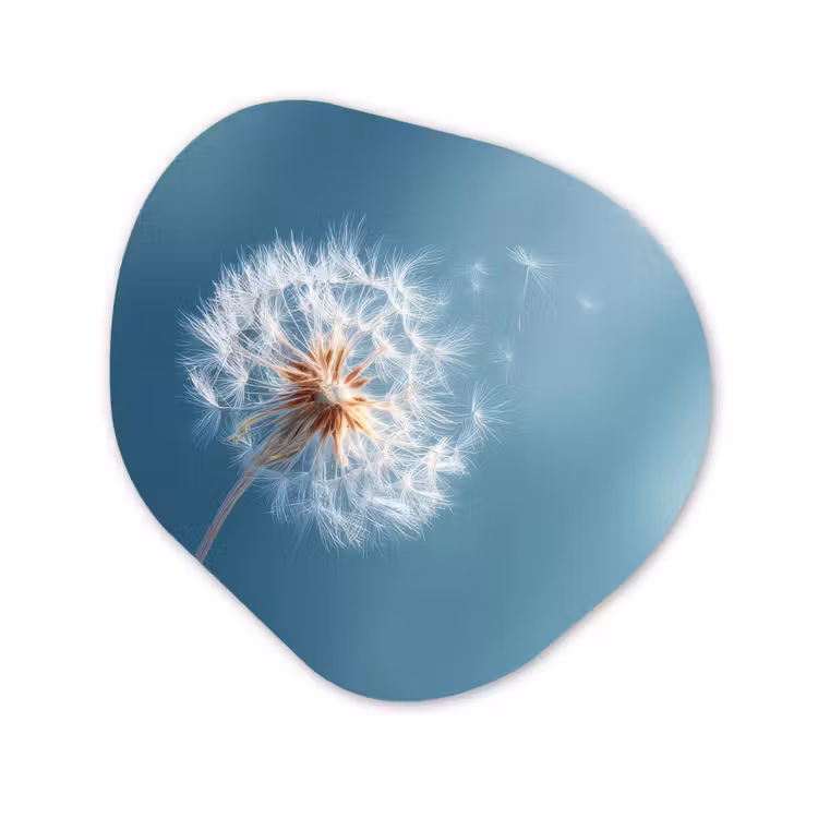Paardenbloem - Wind - Blauw Wandcirkel Organisch Forex 3mm klein -3d