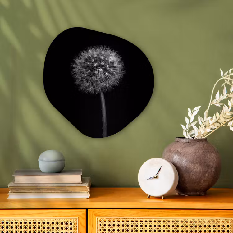 Paardenbloem - Zwart - Bloemen - Botanisch Wandcirkel Organisch Forex 3mm klein -sfeer2