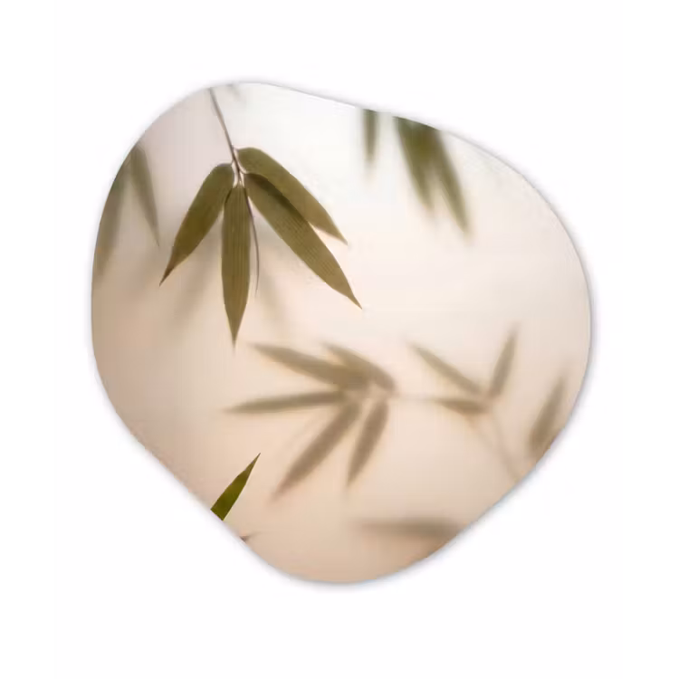Planten - Bladeren - Natuur - Groen Wandcirkel Organisch Forex 3mm klein -3d