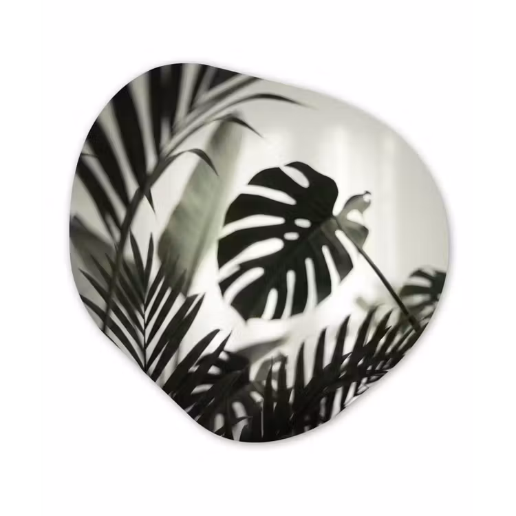 Planten - Bladeren - Natuur - Minimalistisch - Groen Wandcirkel Organisch Forex 3mm klein -3d