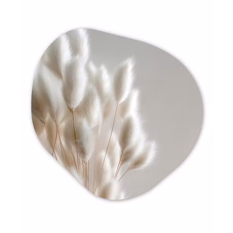 Pluimen - Beige - Minimalistisch Wandcirkel Organisch Forex 3mm klein -3d