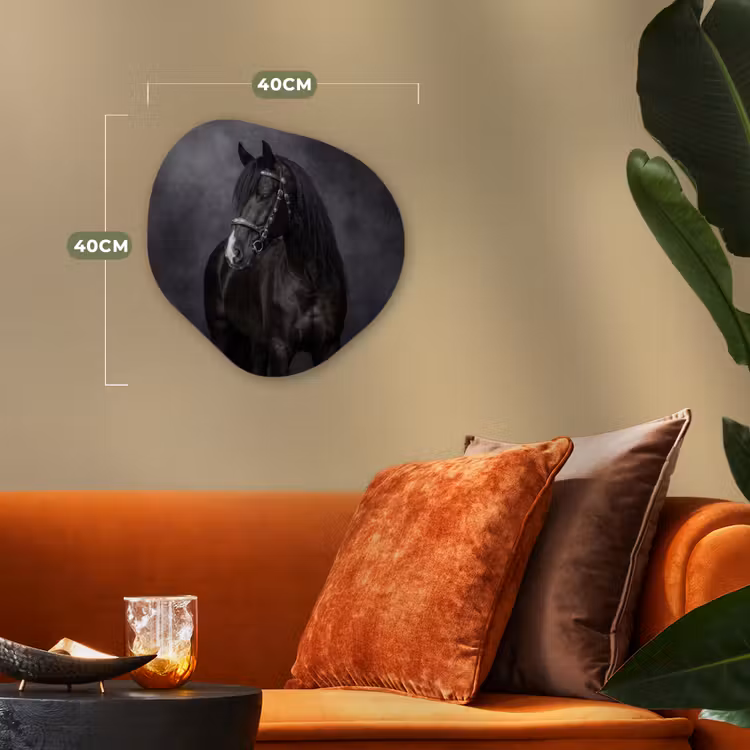 Portret - Paard - Zwart Wandcirkel Organisch Forex 3mm klein -sfeer3