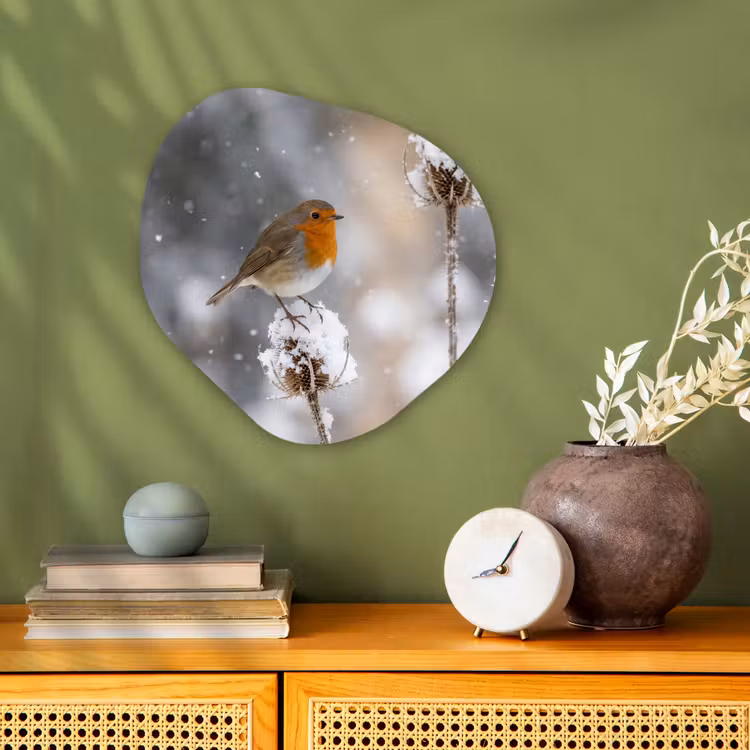 Roodborstje - Gedroogde bloem - Sneeuw - Winter - Vertederend Wandcirkel Organisch Forex 3mm klein -sfeer2