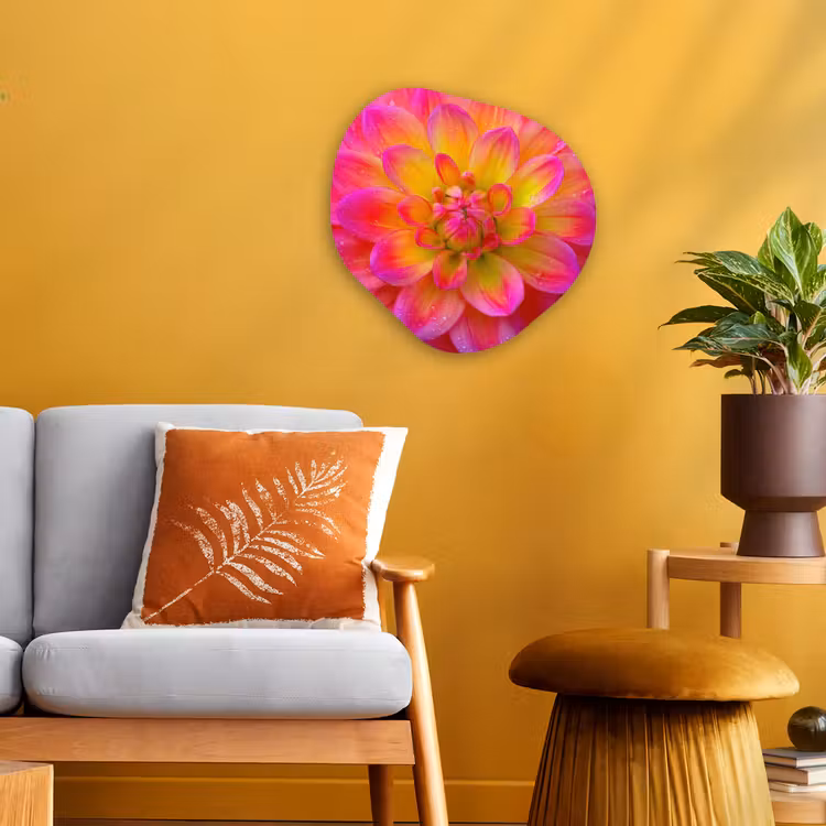 Roze - Dahlia - Kleurrijk Wandcirkel Organisch Forex 3mm klein -sfeer4