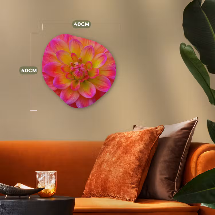 Roze - Dahlia - Kleurrijk Wandcirkel Organisch Forex 3mm klein -sfeer3