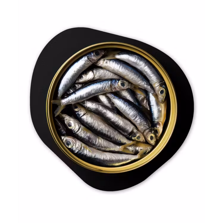 Sardines - Vissen - Rond - Zwart Wandcirkel Organisch Forex 3mm klein -3d