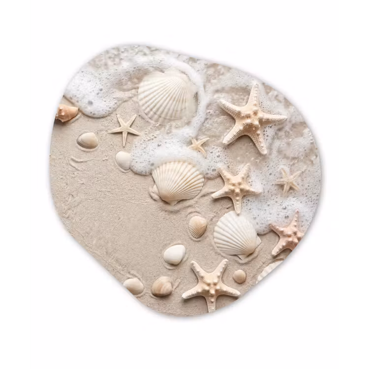 Schelpen - Zeesterren - Strand Wandcirkel Organisch Forex 3mm klein -3d