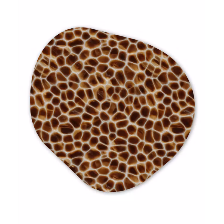 Schildpad - Bruin - Patroon Wandcirkel Organisch Forex 3mm klein 629 -3d
