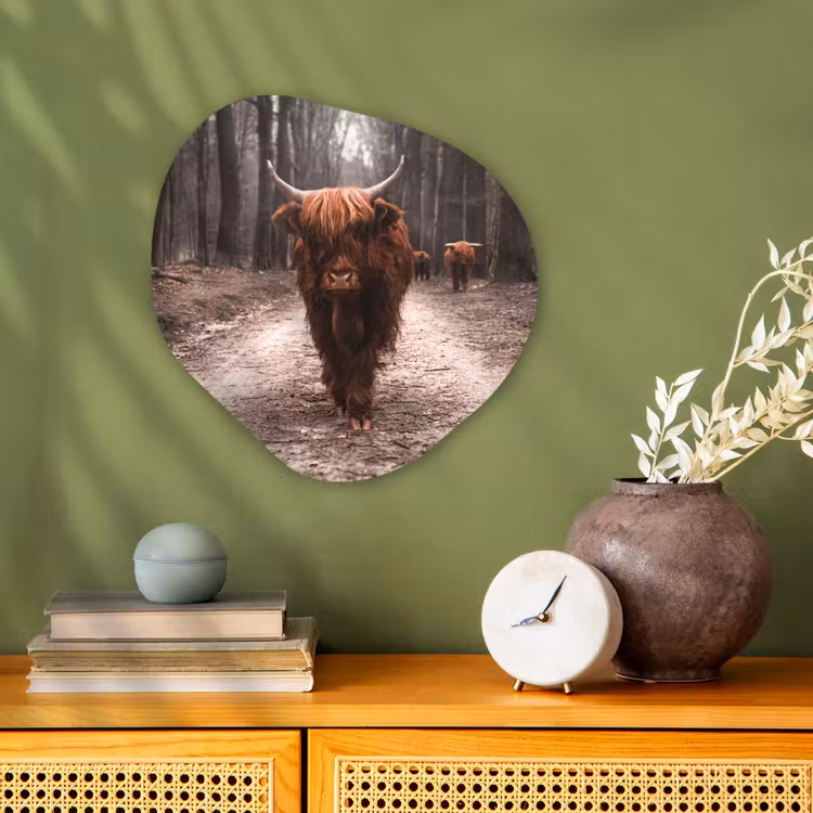Schotse hooglander - Bos - Koe - Dieren - Natuur Wandcirkel Organisch Forex 3mm klein -sfeer2