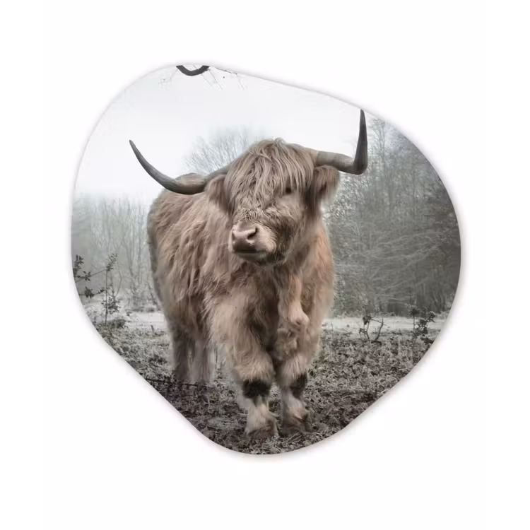 Schotse Hooglander - Bos - Mist - Koe - Dieren - Natuur Wandcirkel Organisch Forex 3mm klein -3d