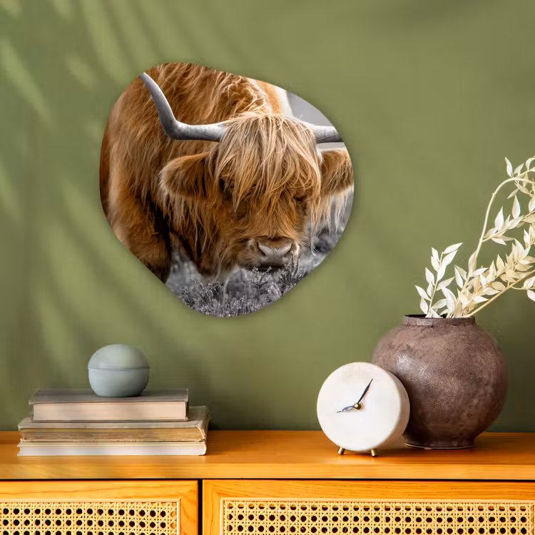 Schotse Hooglander - Dieren - Bruin - Koe - Zwart - Wit - Natuur Wandcirkel Organisch Forex 3mm klein -sfeer2