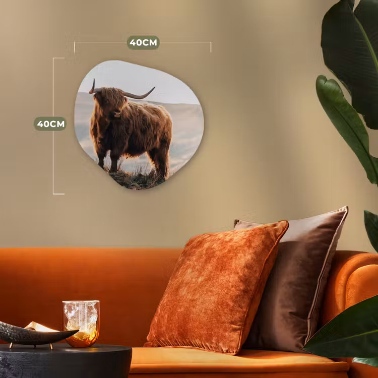 Schotse hooglander - Dieren - Landelijk - Landschap - Koe - Natuur Wandcirkel Organisch Forex 3mm klein -sfeer3