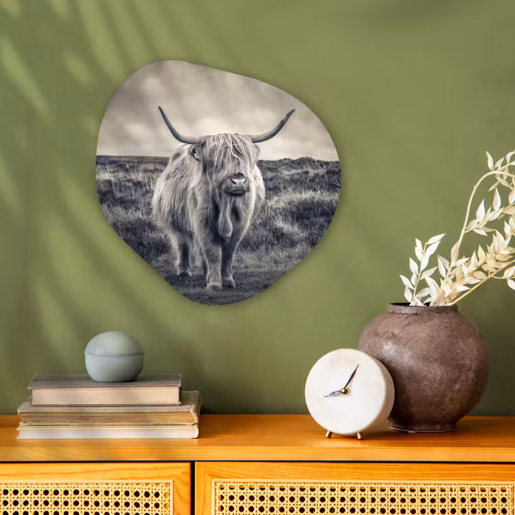 Schotse hooglander - Dieren - Wolken - Koe - Natuur Wandcirkel Organisch Forex 3mm klein -sfeer2