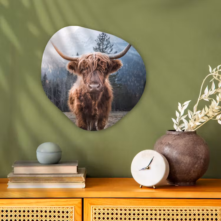 Schotse hooglander - Koe - Dieren - Berg - Natuur Wandcirkel Organisch Forex 3mm klein -sfeer2