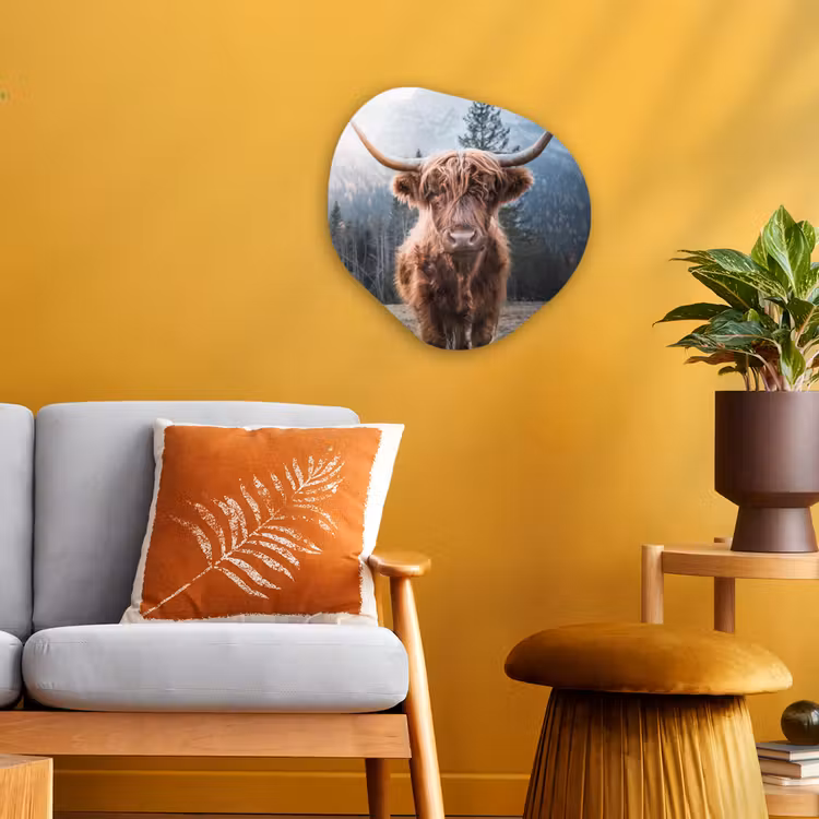 Schotse hooglander - Koe - Dieren - Berg - Natuur Wandcirkel Organisch Forex 3mm klein -sfeer4