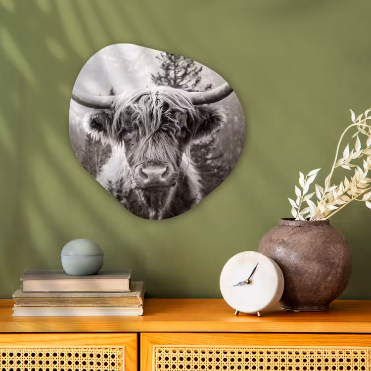 Schotse hooglander - Koe - Dieren - Zwart - Wit Wandcirkel Organisch Forex 3mm klein -sfeer2