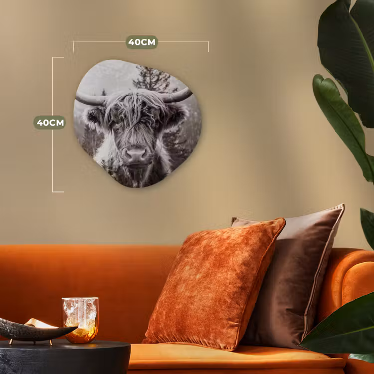 Schotse hooglander - Koe - Dieren - Zwart - Wit Wandcirkel Organisch Forex 3mm klein -sfeer3