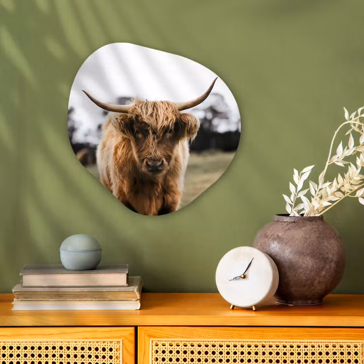 Schotse Hooglander -  Koe - Gras - Dieren - Natuur Wandcirkel Organisch Forex 3mm klein -sfeer2