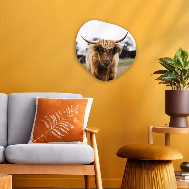 Schotse Hooglander -  Koe - Gras - Dieren - Natuur Wandcirkel Organisch Forex 3mm klein -sfeer4