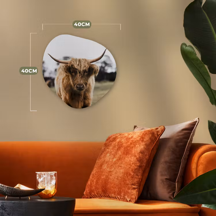 Schotse Hooglander -  Koe - Gras - Dieren - Natuur Wandcirkel Organisch Forex 3mm klein -sfeer3
