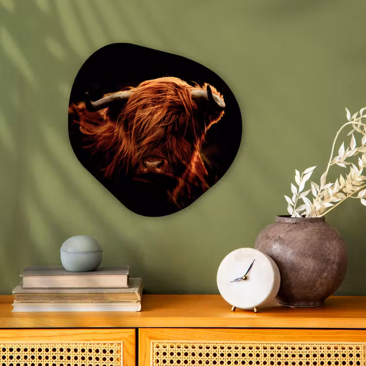 Schotse hooglander - Koe - Hoorns - Portret - Dieren Wandcirkel Organisch Forex 3mm klein -sfeer2