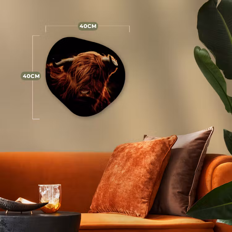 Schotse hooglander - Koe - Hoorns - Portret - Dieren Wandcirkel Organisch Forex 3mm klein -sfeer3