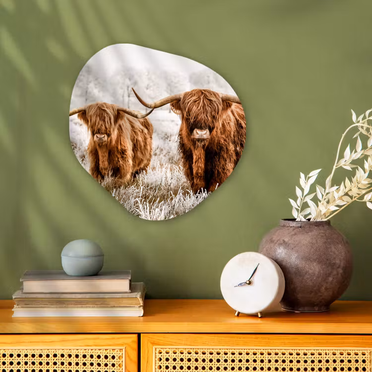 Schotse hooglander - Koe - Dieren - Natuur - Heide Wandcirkel Organisch Forex 3mm klein -sfeer2