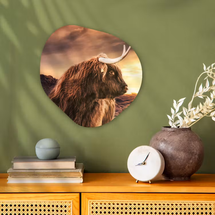 Schotse hooglander - Zon - Horizon - Koe - Dieren Wandcirkel Organisch Forex 3mm klein -sfeer2