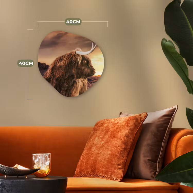 Schotse hooglander - Zon - Horizon - Koe - Dieren Wandcirkel Organisch Forex 3mm klein -sfeer3