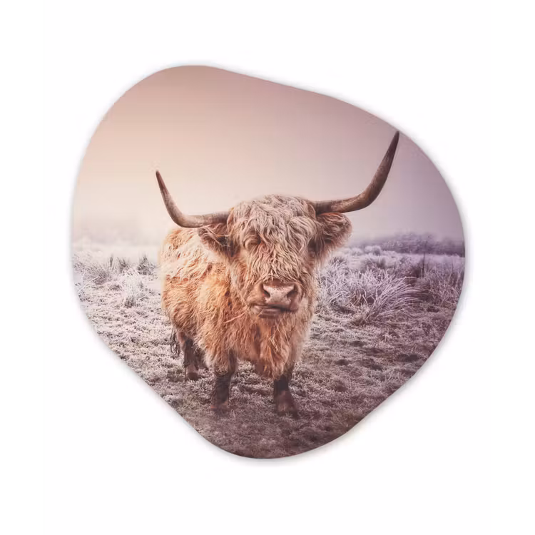 Schotse hooglanders - Licht - Lucht - Natuur Wandcirkel Organisch Forex 3mm klein -3d