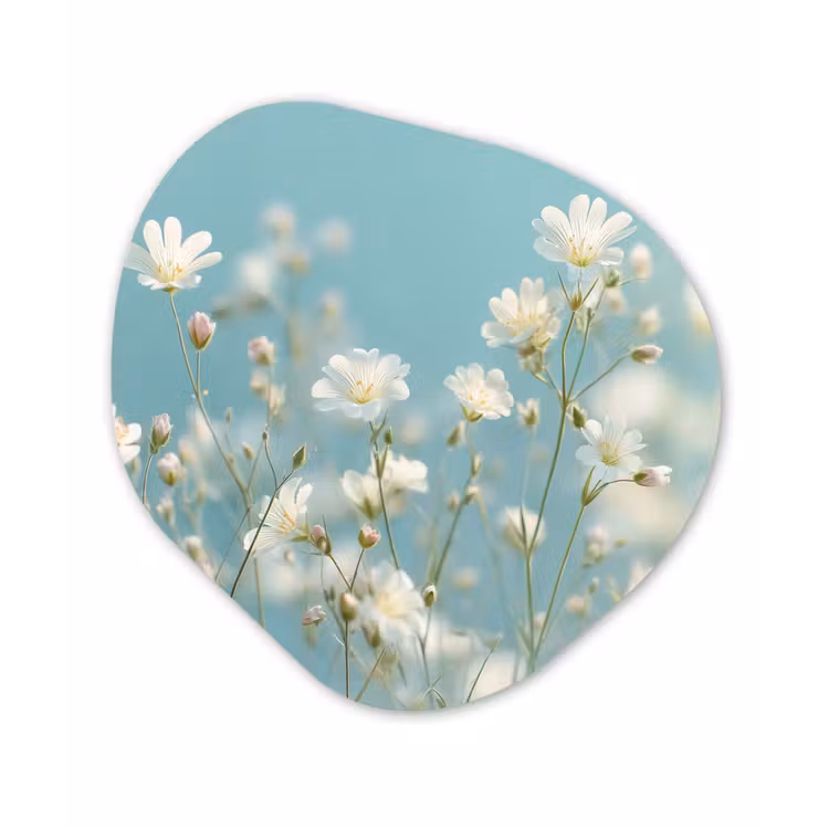 Stengels - Bloemen - Lucht - Wit Wandcirkel Organisch Forex 3mm klein -3d
