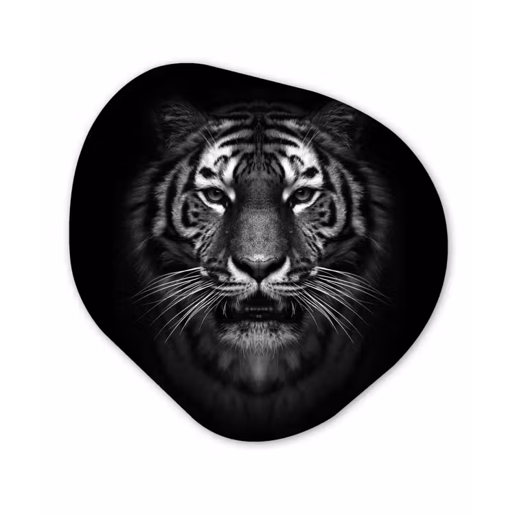 Tijger - Dieren - Zwart - Wit - Portret - Wild Wandcirkel Organisch Forex 3mm klein -3d