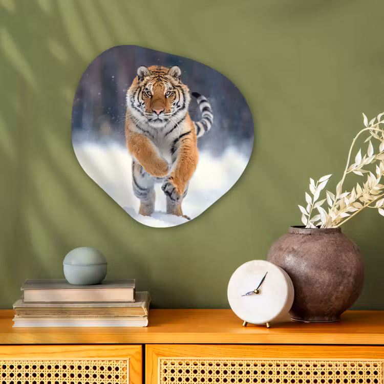 Tijger - Landschap - Sneeuw - Winter - Dieren Wandcirkel Organisch Forex 3mm klein -sfeer2