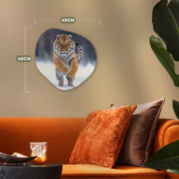 Tijger - Landschap - Sneeuw - Winter - Dieren Wandcirkel Organisch Forex 3mm klein -sfeer3