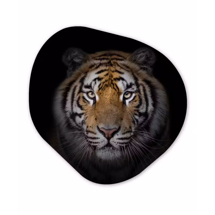 Tijger - Wilde dieren - Portret - Zwart - Dieren Wandcirkel Organisch Forex 3mm klein -3d