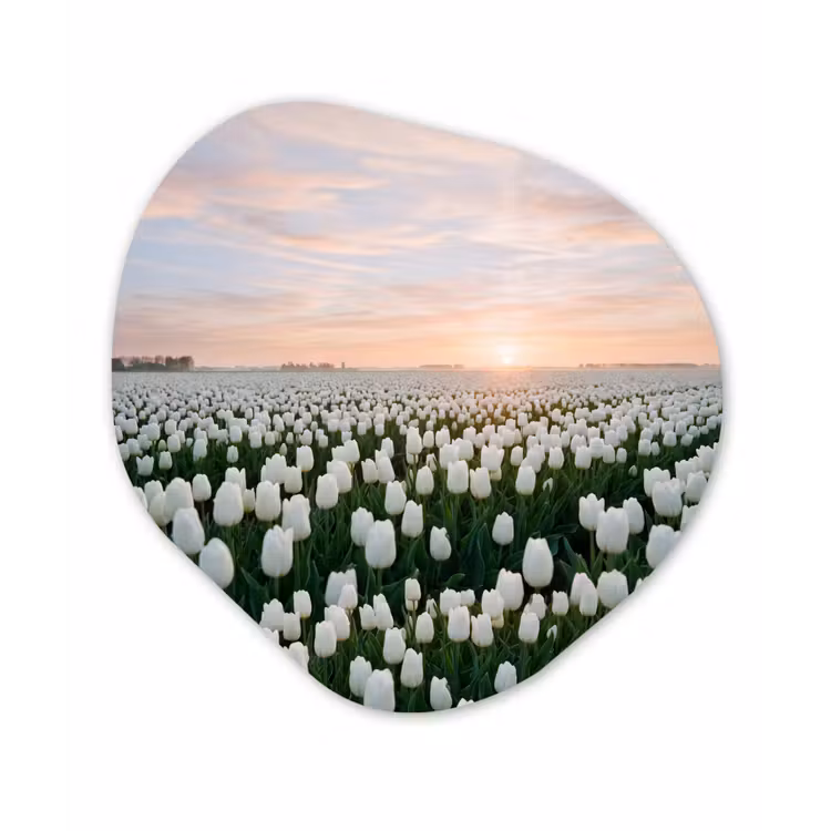 Tulpen - Landschap - Wit Wandcirkel Organisch Forex 3mm klein -3d
