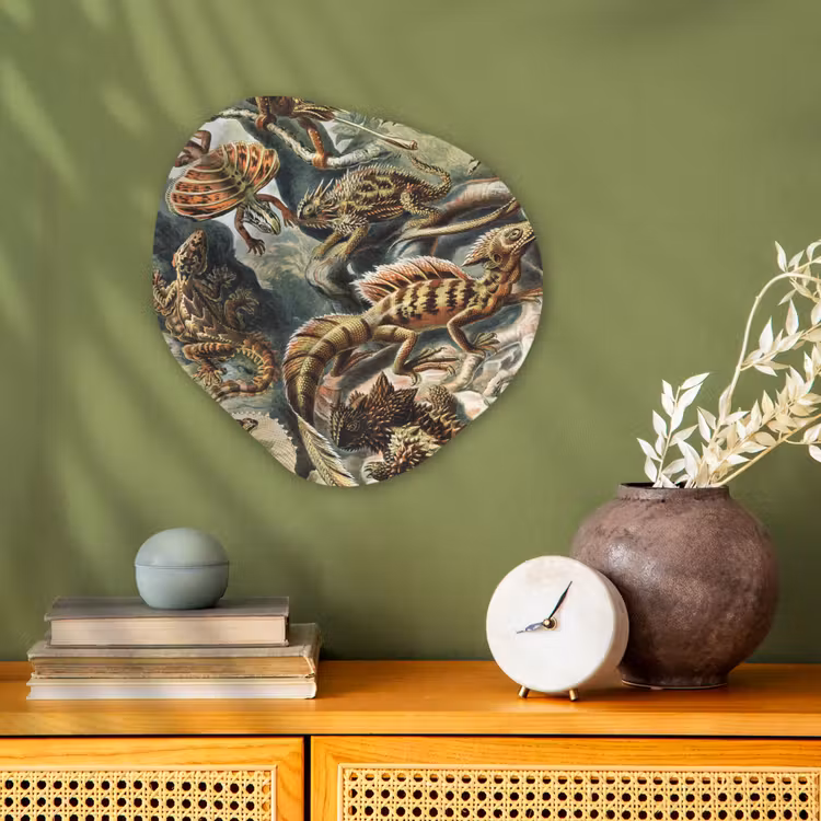 Vintage - Kunst - Ernst Haeckel - Salamanders Wandcirkel Organisch Forex 3mm klein -sfeer2