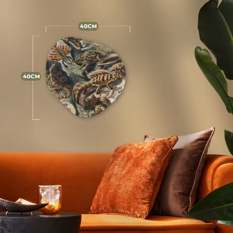 Vintage - Kunst - Ernst Haeckel - Salamanders Wandcirkel Organisch Forex 3mm klein -sfeer3