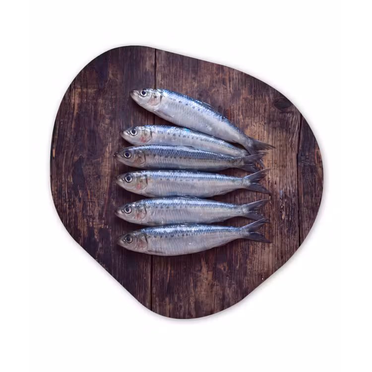 Organisch schilderij forex - Vis - Hout - Eten - Vis - Hout - Eten Wandcirkel Organisch Forex 3mm klein