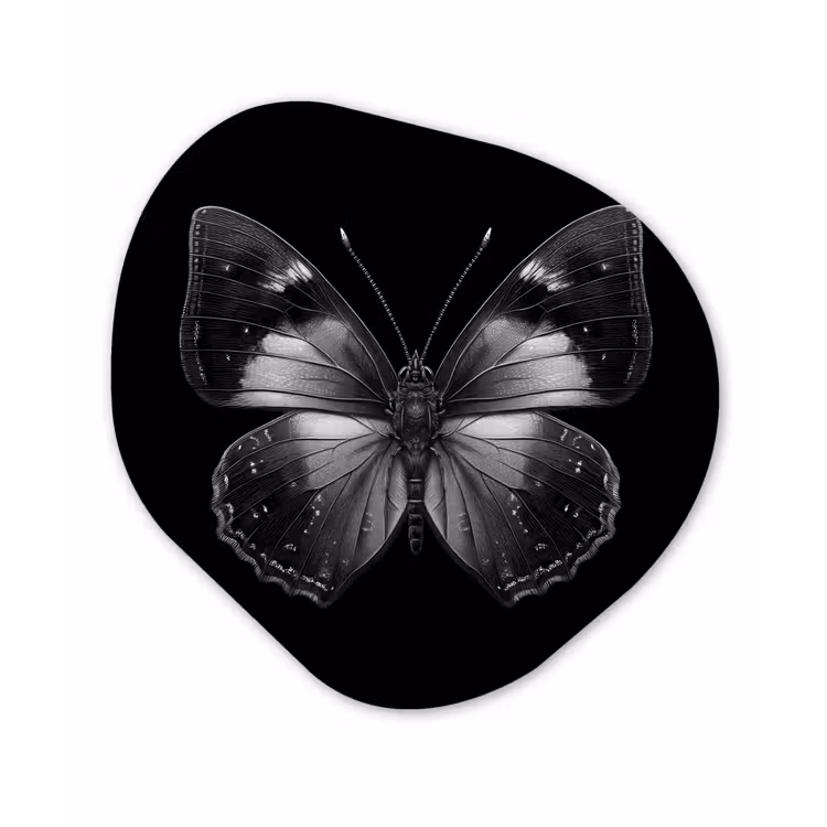 Vlinder - Grijs - Mysterieus Wandcirkel Organisch Forex 3mm klein -3d
