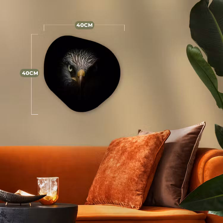 Vogel - Adelaar - Roofvogels - Oog - Snavel - Licht Wandcirkel Organisch Forex 3mm klein -sfeer3