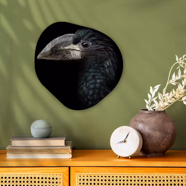 Vogel - Portret - Neushoornvogel - Zwart - Dieren Wandcirkel Organisch Forex 3mm klein -sfeer2