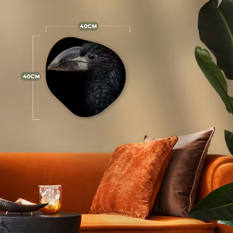 Vogel - Portret - Neushoornvogel - Zwart - Dieren Wandcirkel Organisch Forex 3mm klein -sfeer3